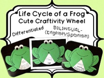 Preview of Frog Life Cycle Wheel Craftivity {BILINGUAL - SUPER CUTE!}