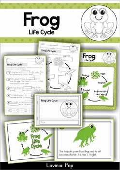 Preview of Frog Life Cycle