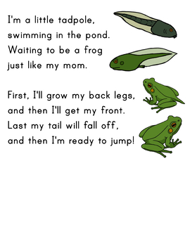 Preview of Frog Life cycle song