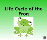 Frog Lifecycle PowerPoint Presentation