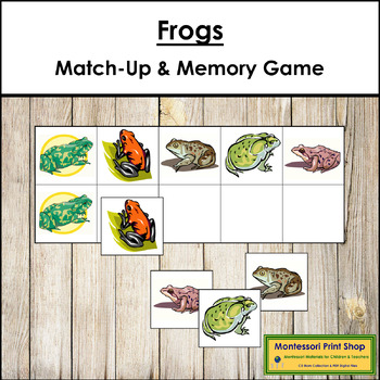 Preview of FREE Frogs Match-Up and Memory Game (Visual Discrimination & Recall Skills)