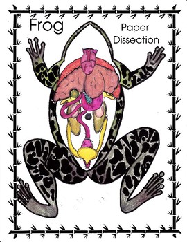 Preview of Frog Paper Dissection