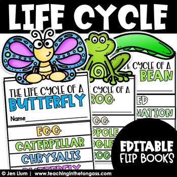 Butterfly Life Cycle Flip Book – Mrs Jones's Class