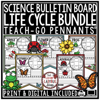 Preview of Life Cycle of a Plant Butterfly Frog Spring Activities April Bulletin Board Idea