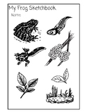 Frog Research Sketchbook