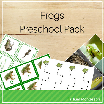 Preview of Frog Theme Preschool and PreK Skills