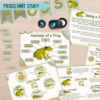 Preview of Frog Unit Study Kids, Frogs Amphibian Life Cycle & Anatomy Learning Nature