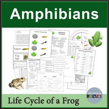 Frog Life Cycle Mini Study 