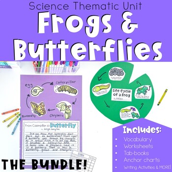 Preview of Frog and Butterfly Life Cycle Activities BUNDLE