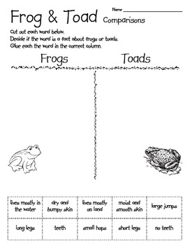 frog vs toad for kids