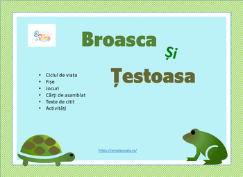 Preview of Frog and Turtle Life Cycle in Romanian, Broasca si Testoasa in Română