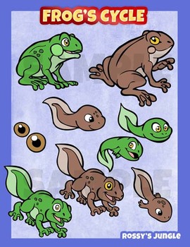 Preview of Frog cycle clip art collection