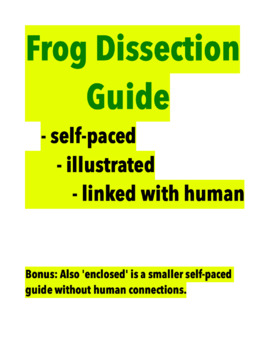 Preview of Frog Dissection Guide / self-paced; illustrated; linked with human systems