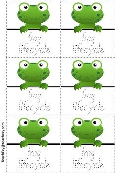Frog folding Life Cycle Activity by TeachEzy | Teachers Pay Teachers