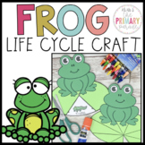 Frog life cycle craft | Frog craft | Pond craft