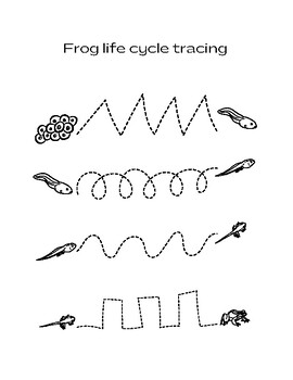 Preview of Frog life cycle tracing lines