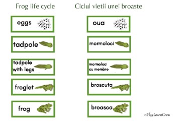 unit project worksheet case study malformed frogs