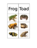 Frog versus Toad Sorting