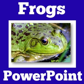 Preview of FROG FROGS Activity PowerPoint AMPHIBIANS Science 1st 2nd 3rd Grade