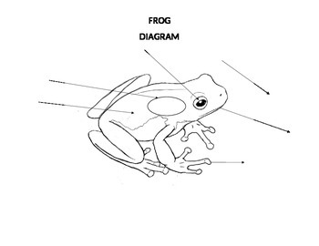 Preview of Frogs