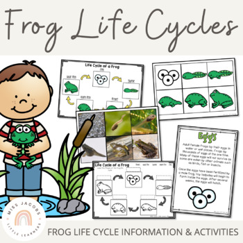 Preview of Frogs: A Life Cycle of a frog mini unit