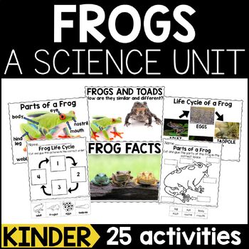 Frogs: An Animal Study by A Dab of Glue Will Do | TPT