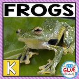 Frogs Unit | Life Cycle of a Frog, Frog Craft & Frog Activ