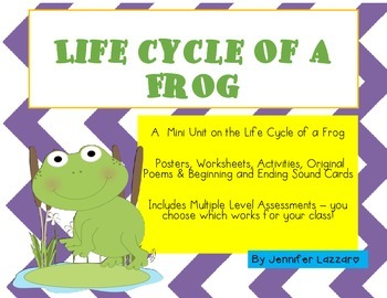 Preview of Frogs: Life Cycle & MORE Mini Unit