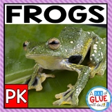 Frogs Science Lessons and Activities for Pre-K