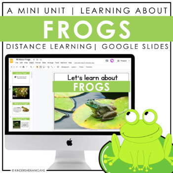 Preview of Frogs | Virtual Google Slides