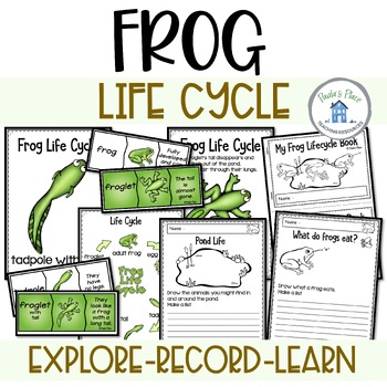 Preview of Frog Life Cycle Activities and Worksheets