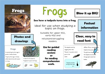 Preview of Frogs easy reader for guided reading