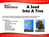 From A Seed To A Tree Song (Mp3), Visual Aids, and Activities