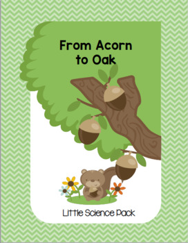 Preview of From Acorn to Oak - Little Science Pack