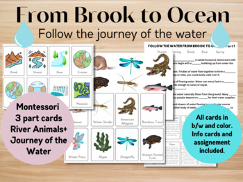 Preview of From Brook to Ocean/Earth Science/Montessori 3 Part Cards/River Organisms