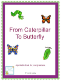 From Caterpillar To Butterfly- A Printable Book