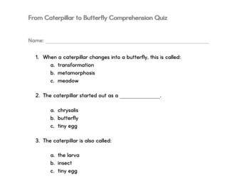 Preview of From Caterpillar to Butterfly Comprehension Quiz