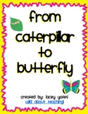 From Caterpillar to Butterfly!