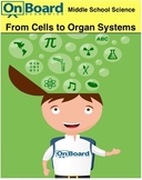 From Cells to Organ Systems-Interactive Lesson