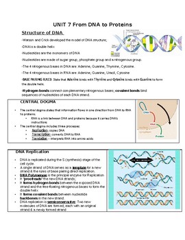 From DNA to Proteins-NOTES by Tati'ScienceCorner | TpT