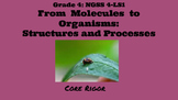 From Molecules to Organisms:Structure and Processes/ NGSS 