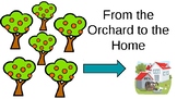 From Orchard to Home (distance learning)