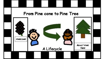 Preview of From Pine Cone to Pine Tree