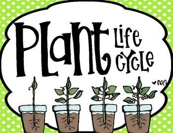 Preview of See How They Grow........ The Life Cycle of Plants and Plant Parts