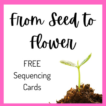 Preview of Seed to Flower Sequencing Cards Free Sample Product