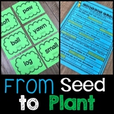 From Seed to Plant Journeys | Lesson 25