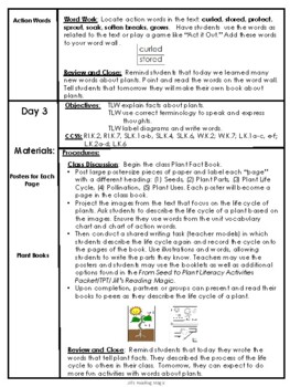 From Seed to Plant Kindergarten Unit Lesson PLan for Louisiana K-2