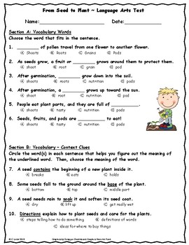 From Seed to Plant ~ Language Arts Test ~ 2nd Grade by Christie Uribe