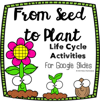 Preview of From Seed to Plant Life Cycle Activities for Google Slides - Digital Learning