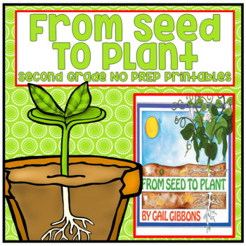 Preview of From Seed to Plant Second Grade NO PREP Printables